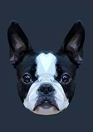 2016-02-03/472108a69bb227688329b5ddf3f4449b