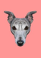 2016-02-03/b7a22d379d84c04333f78e51c610774f