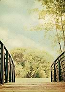 2016-02-17/f3a40bf2a15738641a41b873158aece8