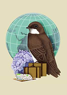 2016-02-21/242875cb2f74b7aa81a5b9a280282dfc