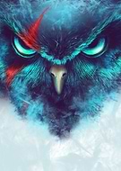 2016-02-23/2d4bf4131109c9d7d240f0c2c5e1b65f