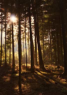 2016-03-02/d3c00cd1844f9f227b37a175a1edf440