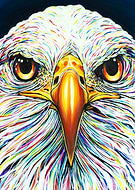 2016-03-21/3be5648d18fbcb412843bf153a17affc