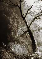 2016-04-16/15bbb1a8686b0c72e033eb5001de9725