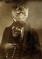 2016-04-18/cb15d4435fa7551b38cececfeec2ee75