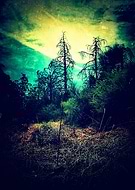 2016-05-08/82615a73d72f229e61e8e78651002cee