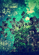 2016-05-12/51bc5436856abb33ffb380a869441de7