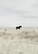 2016-05-17/6c55e4663e14f04300c2363369d634ee