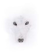 2016-05-28/52d5e2d13517179a476efee786ccb571