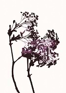 2016-05-31/48a061a707a4b8dbee88c1cddb681b7b