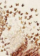 2016-07-24/50e2bbbb9941577c4d6b205faa434183