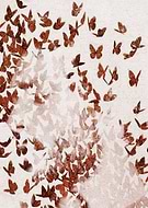 2016-07-24/b949009110747e4ebe330e37b3a75e7f