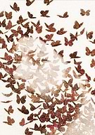 2016-07-25/5388d8a31d8f7ebe8660daedb98481b1