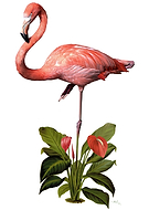 2016-07-25/5ee78122704b496d9a874166a7460419