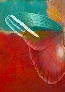 2016-08-22/a9c0df2f91cac40996dfbe6be483c944