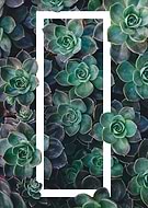 2016-08-29/64ed242b54337d7ccfb0666ed6c29a20