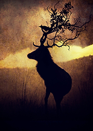 2016-09-01/02e189ab0f3e020b9164033457fb8c97