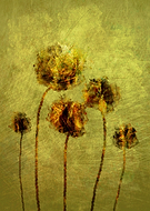 2016-09-03/d56984752a75770f82053c127f2003c2