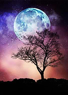 2016-09-05/4184db45d8e50c8f77f86fb83f1b7ef9