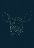 2016-09-17/7174e0ca5320d8aa1761de118244055c