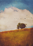 2016-10-08/75aee7ecfe0ca423e12f19e874bafb40