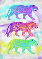 2016-11-05/e7880ff7721f28d3bb5c82ef97e14641