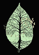 2016-12-03/8c2635605cc78e113fc3d5500bee08e4