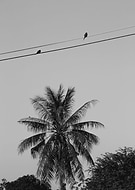 2016-12-20/678ca820cac80b6ab8a972b028d13f0c