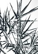 2016-12-20/99ec0f546586a4e358ef36d8aa41bf5d