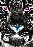 2016-12-31/0b58ed8a3826d8c3c2a22008a8808d1e