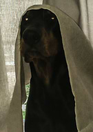 2016-12-31/7bb4d21fbfe2e895f0d78f6f2c12a549