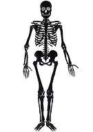 2016-12-31/9ef7c47941c2dca1560b3de75e982e21