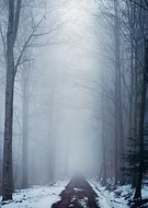 2017-01-02/faf7ffb79342106b9d518291d1e17771