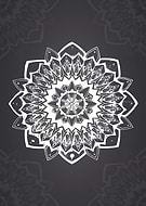 2017-01-11/2488595b78cb96c400eefbf240f1cdbb