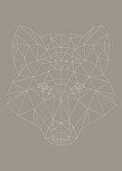 2017-02-04/4a01decddc1aed3e5d53efe55ee03446