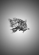 2017-02-05/164a98881504ee72ad023bf7fd7daf2e