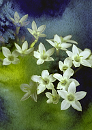 2017-02-09/9f0a6f520898e114c52f04beb9464f9a