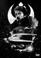 collection-preview-1