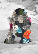 collection-preview-1