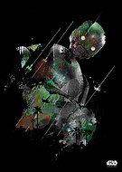 collection-preview-2