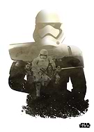 collection-preview-1