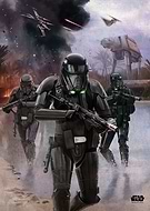 collection-preview-2