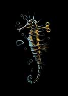 2017-04-02/1491147649_cab9ab09bfaa1f3c928524ed18681f6b