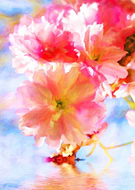 2017-04-10/1491824126_4fa677c08397ce79a279fc7c30a019aa