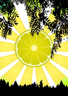 2017-04-19/e6d2933e72021e1e929d4e5f77714719_960f2d0868035a468a096ce893ad213c