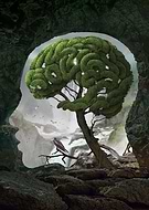 2017-05-07/7392a17caffcc9efd94d142771de3d2b_8401cfd35bf09387afcf9b5edd7a06ef