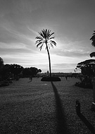 2017-05-10/85e2e39e9b3088af3b20822014dd3006_a308dc04b4f8121ac066b7838accde1e