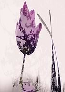 2017-05-10/f1b894b56a11b8bdac76e9137ece49d7_5c5d52aac5fdf369e71bceb4048fa231