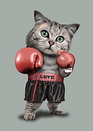 2017-05-23/9f26d5c3e0b03c6efca45ae2a9978957_95459c2e337882d713e74f08c8af1253