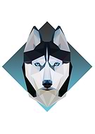 2017-05-31/98d338a7d88f06dd57a828fcf6bb4e9b_6289692100d88424852f032ba994d0ff